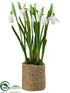 Silk Plants Direct Snowdrop - White - Pack of 12