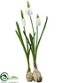 Silk Plants Direct Snowdrop - White - Pack of 24