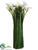 Calla Lily Bundle - White Green - Pack of 1