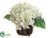 Hydrangea - White Green - Pack of 6