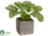 Silk Plants Direct Radish - Green - Pack of 6