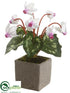 Silk Plants Direct Cyclamen - Cream Purple - Pack of 6