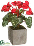 Silk Plants Direct Cyclamen - Red - Pack of 6
