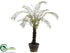 Silk Plants Direct Arborescent Fern Plant - Green - Pack of 2