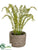 Fern - Green - Pack of 4