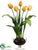 Tulip - Yellow - Pack of 1