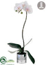 Silk Plants Direct Phalaenopsis Orchid Plant - Blush - Pack of 1