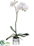 Silk Plants Direct Phalaenopsis Orchid Plant - Blush - Pack of 1