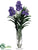 Vanda Orchid Plant - Purple Lavender - Pack of 1