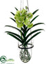 Silk Plants Direct Vanda Orchid Hanging Plant - Green - Pack of 1