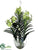 Vanda Orchid Hanging Plant - Green - Pack of 1