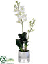 Silk Plants Direct Dendrobium Orchid Plant - White - Pack of 1