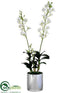Silk Plants Direct Dendrobium Orchid Plant - White - Pack of 1