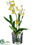 Silk Plants Direct Oncidium Orchid Plant - Yellow - Pack of 4