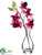 Vanda Orchid - Cerise - Pack of 6