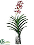 Silk Plants Direct Panee Vanda Orchid Plant - Burgundy - Pack of 1