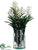 Vanda Orchid Plant - Cream Green - Pack of 1