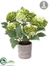 Silk Plants Direct Hydrangea Plant - Green Two Tone - Pack of 1