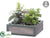 Silk Plants Direct Herb Garden - Green Gray - Pack of 2