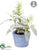 Silk Plants Direct Sage, Rosemary - Green Gray - Pack of 12