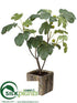 Silk Plants Direct Fig Tree - Green - Pack of 1