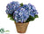 Hydrangea - Blue - Pack of 4