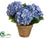 Hydrangea - Blue - Pack of 4