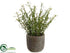 Silk Plants Direct Rosemary - Green - Pack of 6
