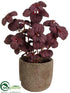 Silk Plants Direct Mint - Burgundy - Pack of 4