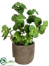Silk Plants Direct Mint - Green - Pack of 4