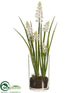 Silk Plants Direct Grape Hyacinth - White - Pack of 12