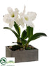 Silk Plants Direct Cattleya Orchid Plant - White Green - Pack of 1