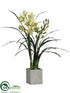 Silk Plants Direct Cymbidium Orchid Plant - Green - Pack of 1