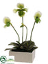 Silk Plants Direct Lady Slipper Orchid Plant - White Green - Pack of 1