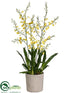 Silk Plants Direct Oncidium Orchid Plant - Yellow - Pack of 1