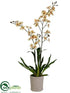 Silk Plants Direct Oncidium Orchid Plant - Peach Yellow - Pack of 1
