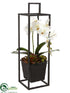 Silk Plants Direct Phalaenopsis Orchid, Echeveria Arrangement - White Green - Pack of 2