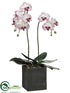 Silk Plants Direct Phalaenopsis Orchid Plant - White Orchid - Pack of 1