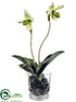 Silk Plants Direct Lady Slipper Orchid Plant - Green - Pack of 6