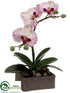 Silk Plants Direct Phalaenopsis Orchid Plant - White Orchid - Pack of 4