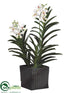 Silk Plants Direct Vanda Orchid Plant - White - Pack of 1
