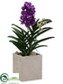 Silk Plants Direct Vanda Orchid Plant - Violet - Pack of 1