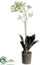 Silk Plants Direct Sharry Oncidium Orchid Plant - Cream Green - Pack of 1
