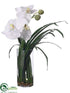 Silk Plants Direct Phalaenopsis Orchid - White - Pack of 1