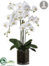 Silk Plants Direct Phalaenopsis Orchid Plant - White - Pack of 1