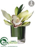 Silk Plants Direct Cymbidium Orchid Plant - Green - Pack of 6