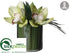 Silk Plants Direct Cymbidium Orchid Plant - Green - Pack of 6