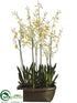 Silk Plants Direct Oncidium Orchid Plant - Yellow Burgundy - Pack of 1