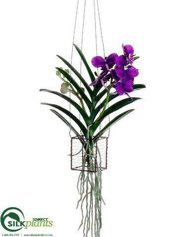 hanging planter for orchids Silk Plants Direct Vanda Orchid Hanging Plant - Violet