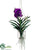 Vanda Orchid Hanging Plant - Violet - Pack of 1